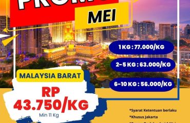 Feeds Instagram 2 (54)